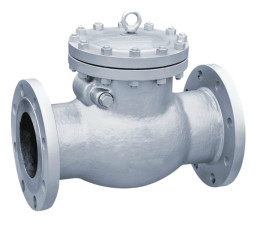 Клапан (затвор) обратный поворотный 19с53нж