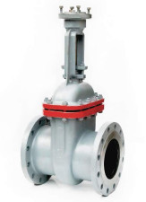 Задвижка нержавеющая 30нж964нж (PN 25, DN 50-300)