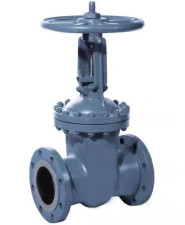 Задвижка стальная 30лс64нж (PN 25, DN 50-500)